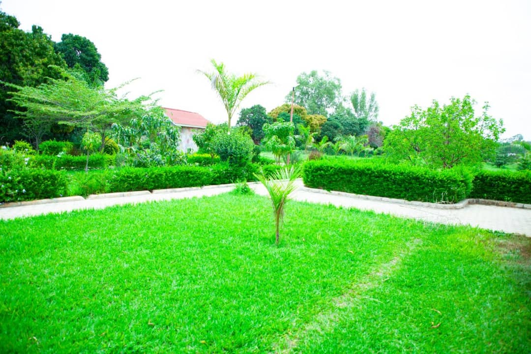 Riverside Garden